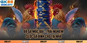 Đá Gà Mộc Bài - Trải Nghiệm Cược Gà Đỉnh Cao Tại Nhà
