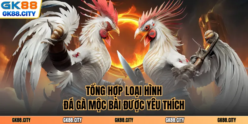 Tổng hợp loại hình đá gà Mộc bài được yêu thích